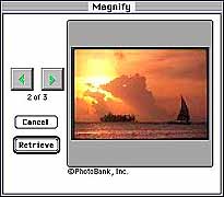 Selected image - magnified
