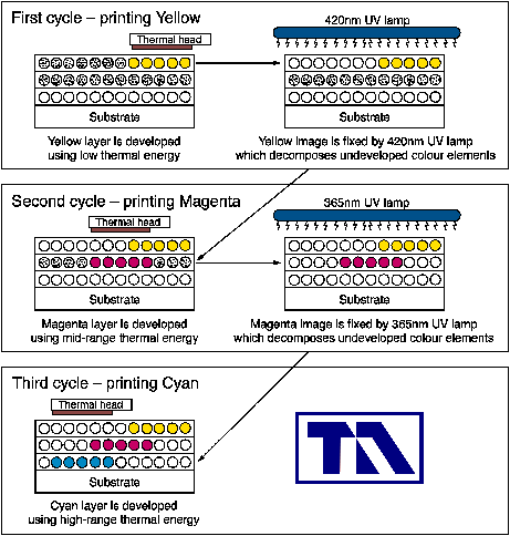 The Thermo-Autochrome printing cycles